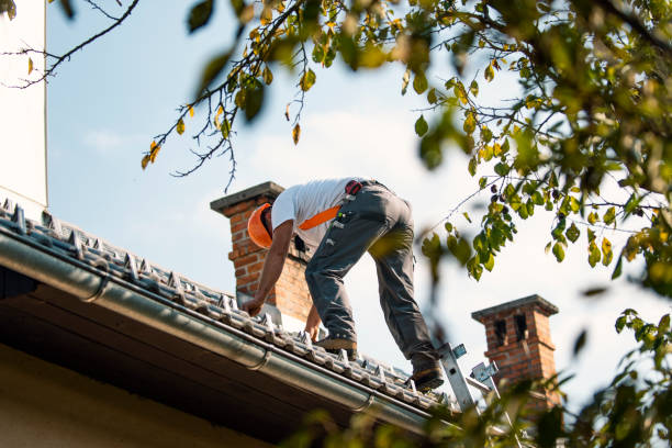 Best Solar Panel Roofing Installation  in Pomeroy, OH