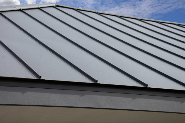 Best Skylight Installation and Repair  in Pomeroy, OH